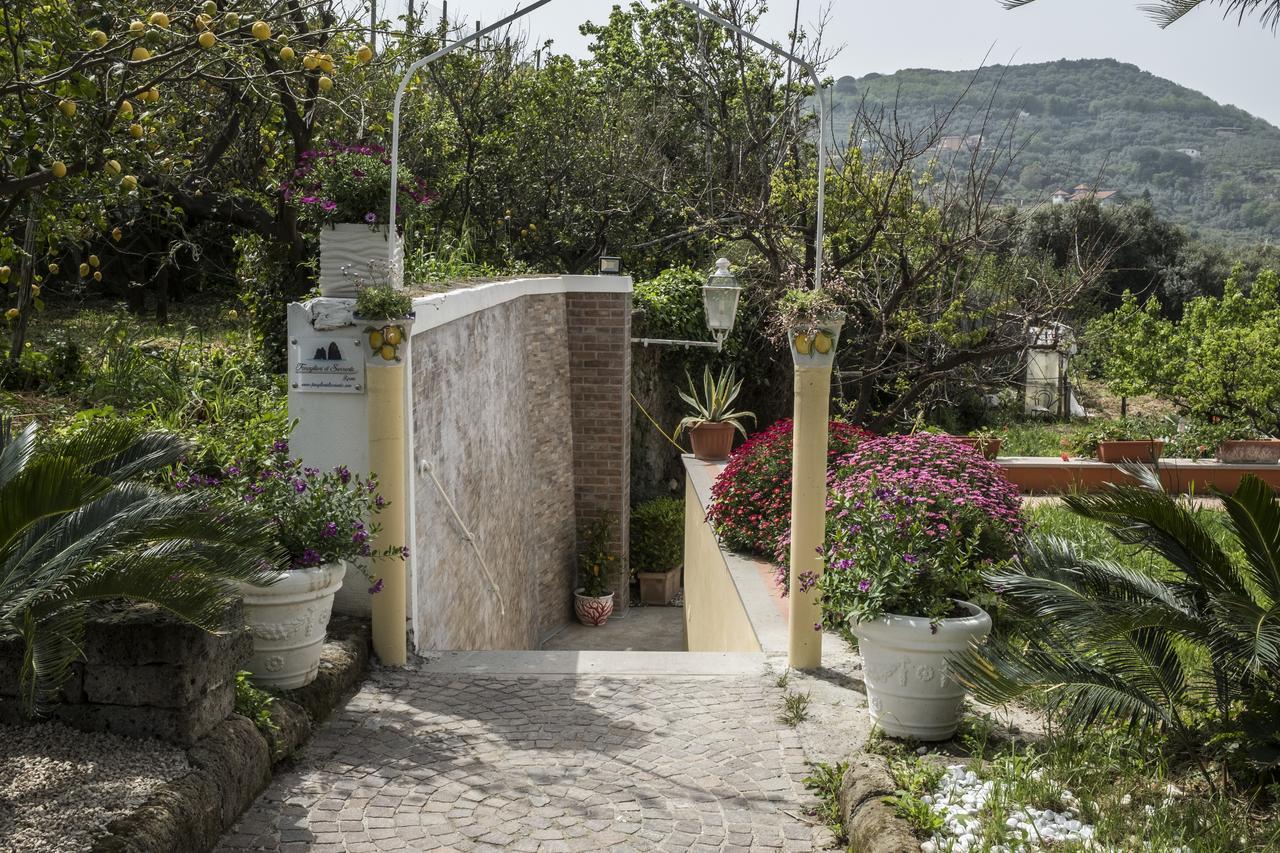 Faraglioni Di Sorrento Guesthouse Exterior photo