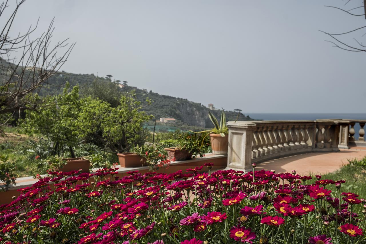 Faraglioni Di Sorrento Guesthouse Exterior photo