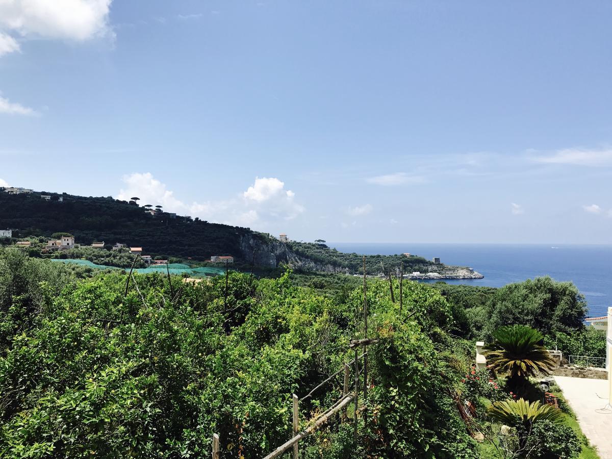 Faraglioni Di Sorrento Guesthouse Exterior photo